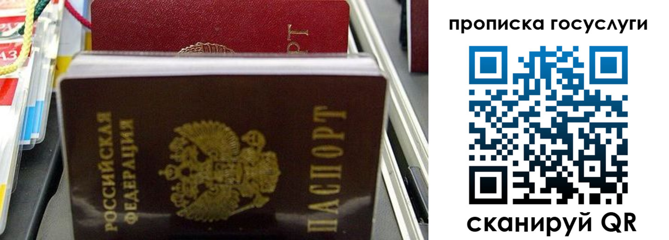 где прописаться в Галиче